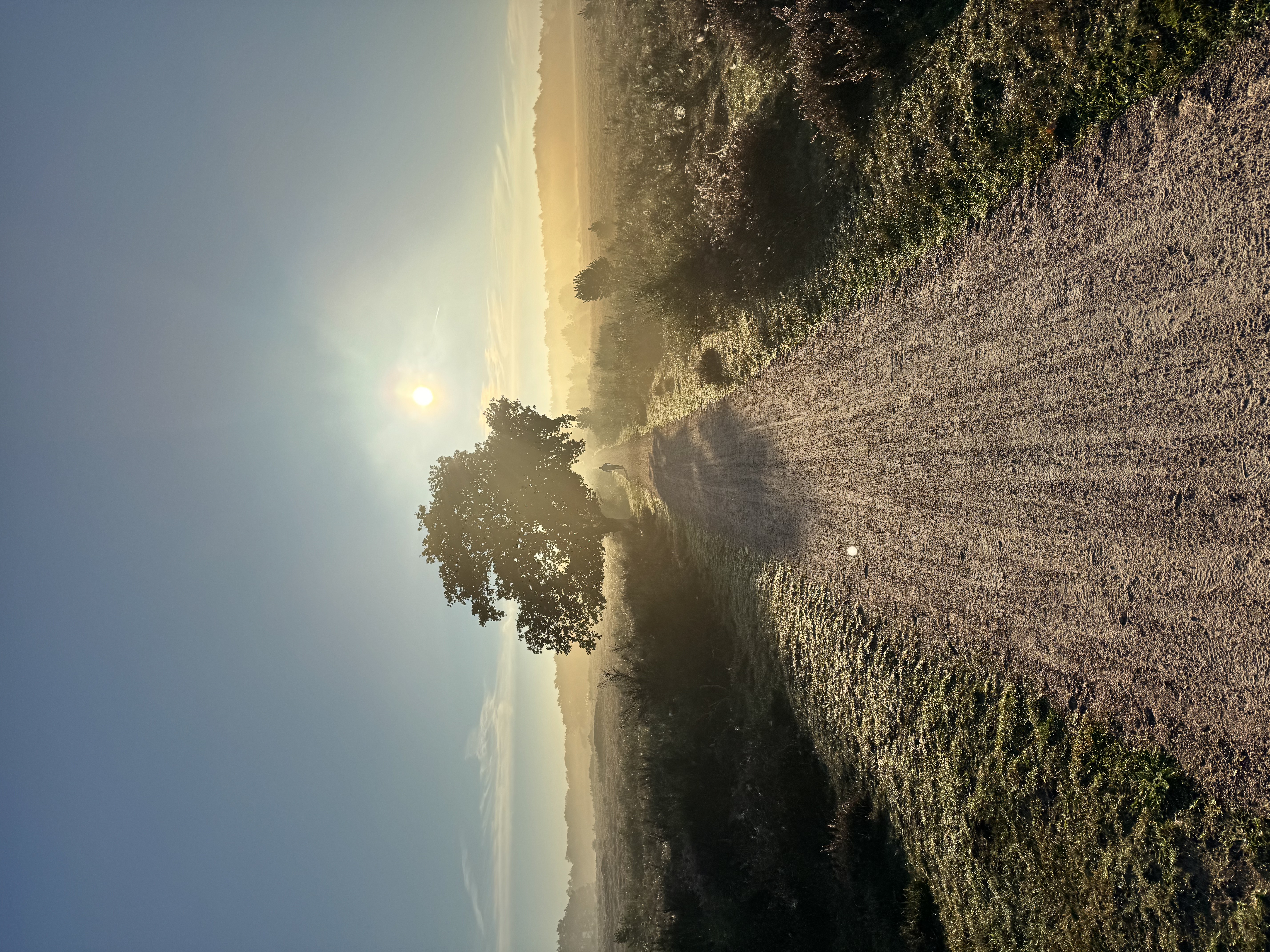 Blog over spirituele filosofie door Eric Sweder